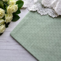Батист із вишивкою блідо-зелений Відріз 25*45см TKB002