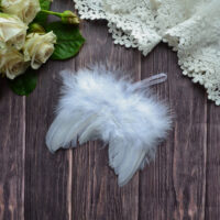Крила для ляльки білі 12*10см AL106 УЦІНКА
