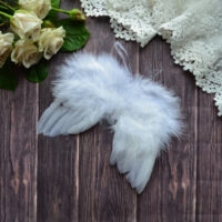 Крила для ляльки білі 16*14см AL108 УЦІНКА