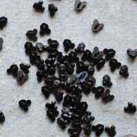 Міні Ґудзики металеві Міккі Маус на ніжці чорний 5мм 10шт B325