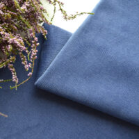 Вельвет для одягу ляльки 1.1 мм синьо-фіолетовий трішки тягнеться 24*45см FV25